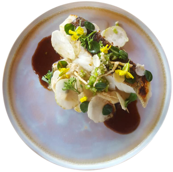 Nomade-plat-500X500-2019-04-15 Nomade-plat-500X500-2019-04-15